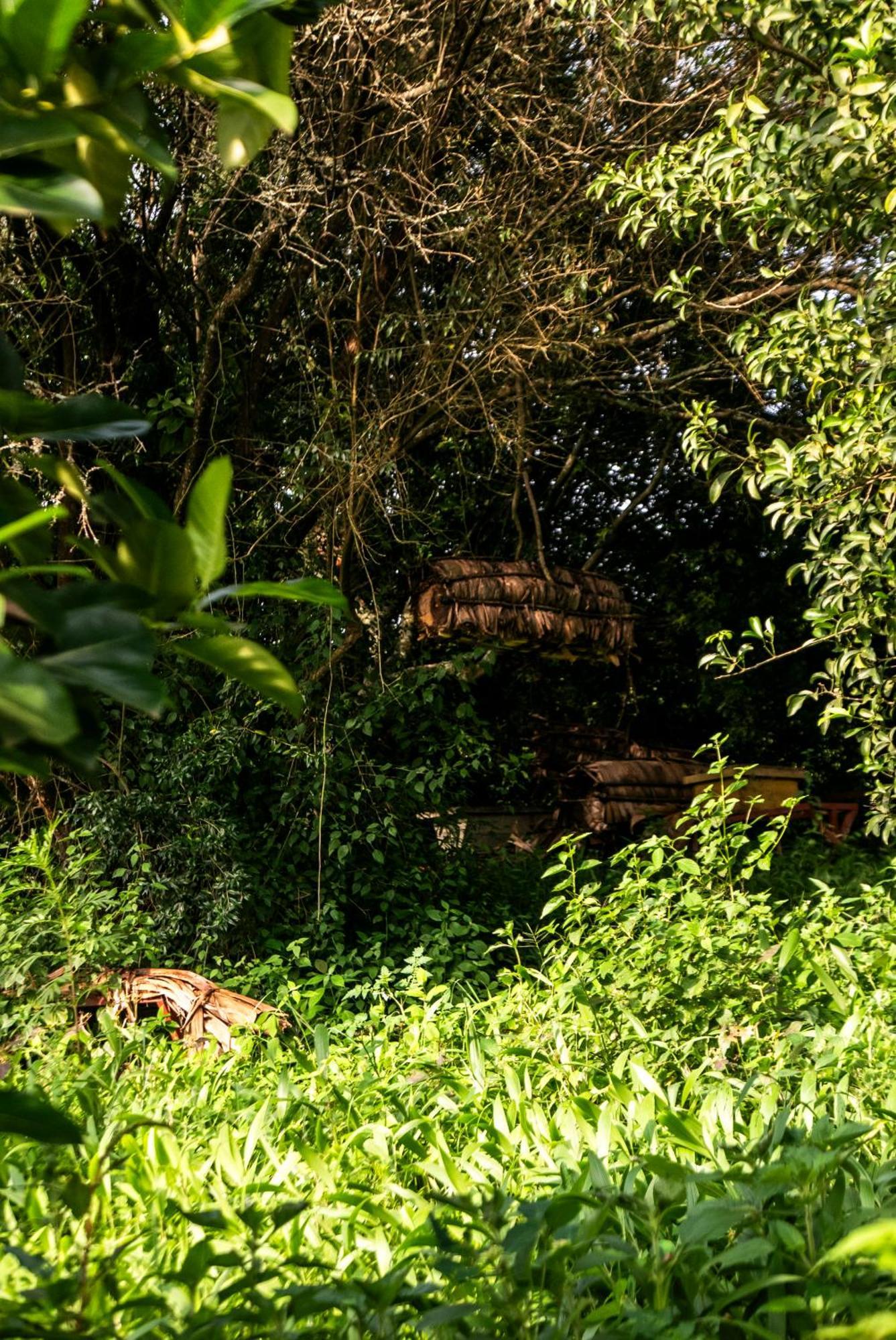 Akagera Transit Lodge Esterno foto
